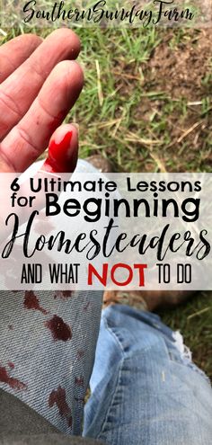 someone holding their hand out with the words ultimate lessons for beginning homeschoolers and what not to do