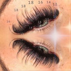 Whispy Lashes Extensions, Lashes Extensions Map, Whispy Lashes Extensions Map, Eyelashes Tutorial, Lash Mapping, Lash Extentions, Best Lash Extensions