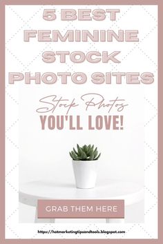 If you are a female entrepreneur,  this post '5 Best Feminine Stock Photo Sites" will be invaluable to you. I focus on 5 sites I consider to offer the best value and quality. Female Entrepreneur, Marketing Tools