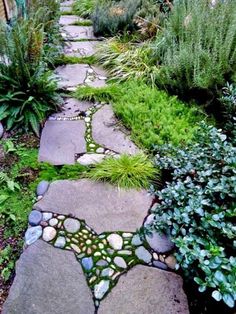 a stone path in the middle of a garden