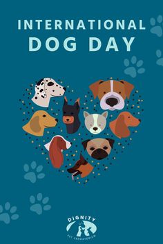 the international dog day poster is shown with dogs'heads in a circle and paw prints