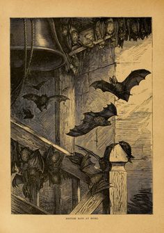 bats are flying over the top of a wooden structure with a bell in the background