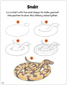 how to draw a snake step by step instructions for kids and beginners with pictures