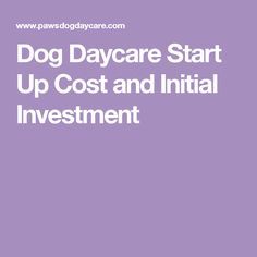 the words dog day care start up cost and initial investment in white on a purple background