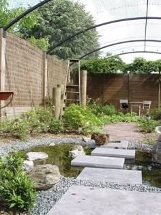 a cat is sitting on some steps in the middle of a small water garden with rocks and plants