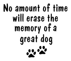 a sign that says no amount of time will erase the memory of a great dog