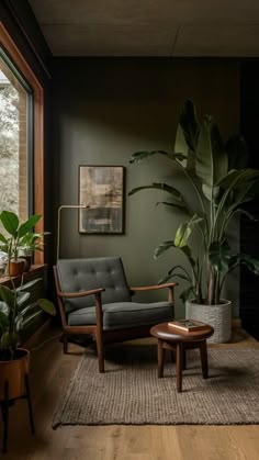 a living room filled with furniture and a large potted plant next to a window