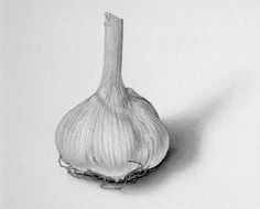 a black and white photo of an onion