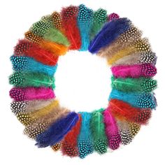 colorful feathers arranged in a circle on a white background