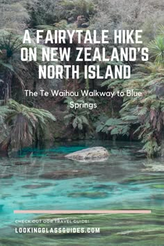 the waihou walk way to blue springs in new zealand