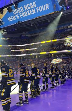 the hockey team is lined up on the ice to take a moment out for their time