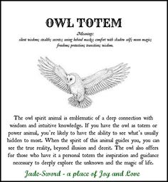 Barred Owl Spiritual Meaning, Animal Totem Spirit Guides, Owl Symbolism, Celtic Zodiac, Spirit Animal Meaning, Animal Meanings, Spirit Animal Totem