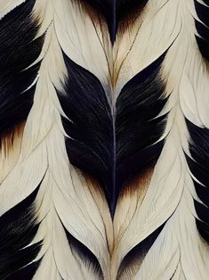 black and white feathers are arranged together