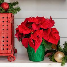 red poinsettia in a green vase next to other christmas decorations on a mantle