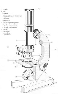 an image of a microscope with parts labeled in spanish and english on the bottom right hand corner