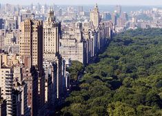 an aerial view of the central park and surrounding skyscrapers in new york city, ny