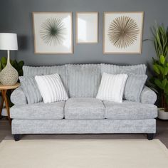 a living room scene with focus on the couch and two framed art pieces behind it