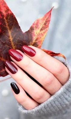 Get inspired by fall colors for your next French manicure! 🍁 Classy and seasonal perfection. 💅 #FallNailInspo #FrenchManicure #SeasonalNails Fall Gel Nails, October Nails, Makijaż Smokey Eye, Thanksgiving Nails, Trendy Nail, Black Nail, Trendy Nail Design