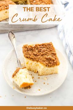 the best crumb cake on a white plate with a fork and serving dish in the background