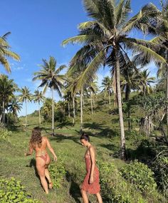 two women in bikinis are walking through the grass near palm trees on a sunny day