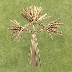 several stalks of wheat are arranged in the shape of an eye on a green field