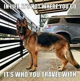 a german shepard dog standing next to a fence with the caption, it's who you travel with