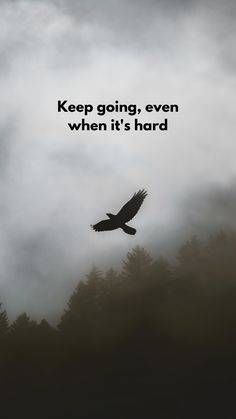 an eagle flying in the sky with a quote above it that reads keep going, even when it's hard