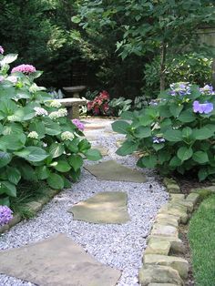 there is a stone path in the garden