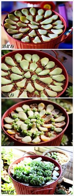 three pictures showing different stages of making broccoli