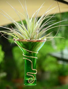 an air plant in a green glass vase hanging from a hook on a patio table