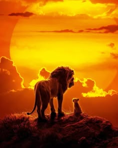 the lion king and his cub stand on top of a hill as the sun sets