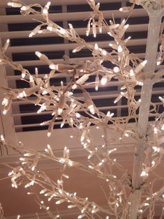 a tree with white lights on it in front of a window