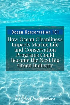 ocean conservation 1011 how ocean cleanness impact marine life and conservation programs could become the next big green industry