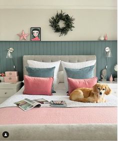 a dog laying on top of a bed with pink and blue pillows in a bedroom