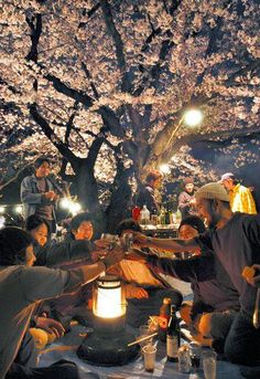 a group of people sitting around a table under a tree at night with lights on