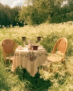 two wicker chairs sit at a table in the middle of tall grass, surrounded by wildflowers