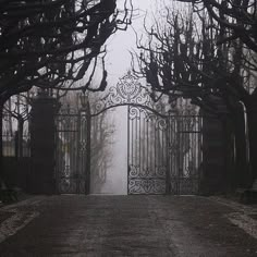 an iron gate in the middle of a road with trees on both sides and foggy skies overhead