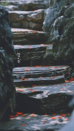 there are many steps that have red flowers on them