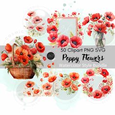 50 clipart png svg poppy flowers watercolor style bundle