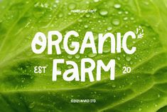 a close up of a leaf of lettuce with the words organic farm on it