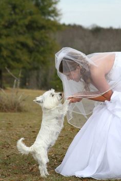 a woman in a wedding dress petting a white dog