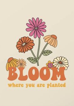 Hand drawn typography in a 60s 70s style with pink yellow orange flowers Boho Vibes Aesthetic Wallpaper, Groovy Pictures, Boho Aesthetic Pictures, Cute Boho Wallpaper Iphone, Hippy Aesthetic Wallpaper, Groovy Vibes Aesthetic, Cute Boho Posters, Aesthetic Boho, Boho Phone Widgets