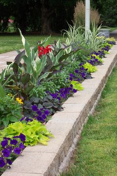 the flowers are growing along the side of the road