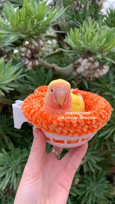 a small bird sitting on top of an orange object in someone's hand with pine cones around it