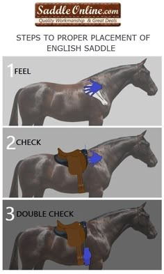 the steps to proper placement of english saddle