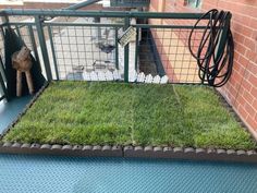 a dog is sitting in the grass on top of a fenced area with a wire fence