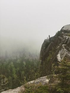 two people standing on top of a large rock in the middle of a foggy forest