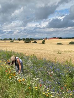 a person kneeling down in a field with flowers