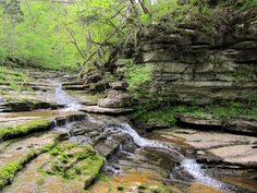 a stream running through a lush green forest filled with rocks and mossy vegetation on the side of a cliff