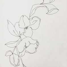 a line drawing of flowers on a white background